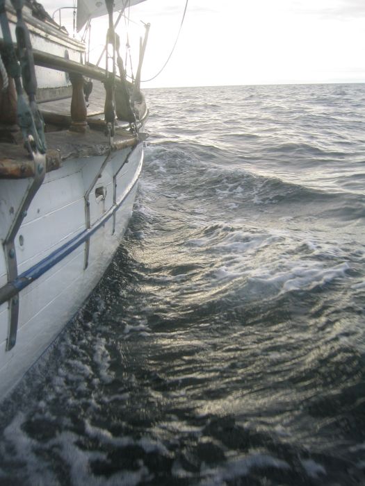 gal/New Boat/IMG_3847.jpg